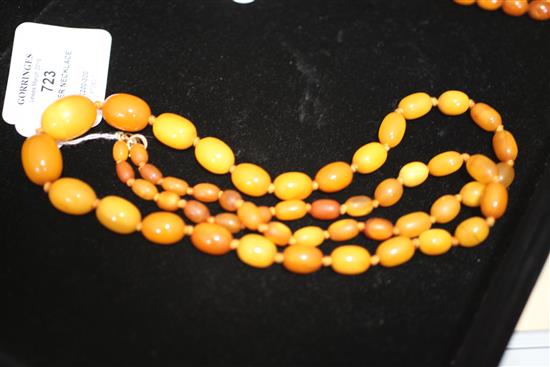 A single strand graduated oval amber bead necklace, 30in.